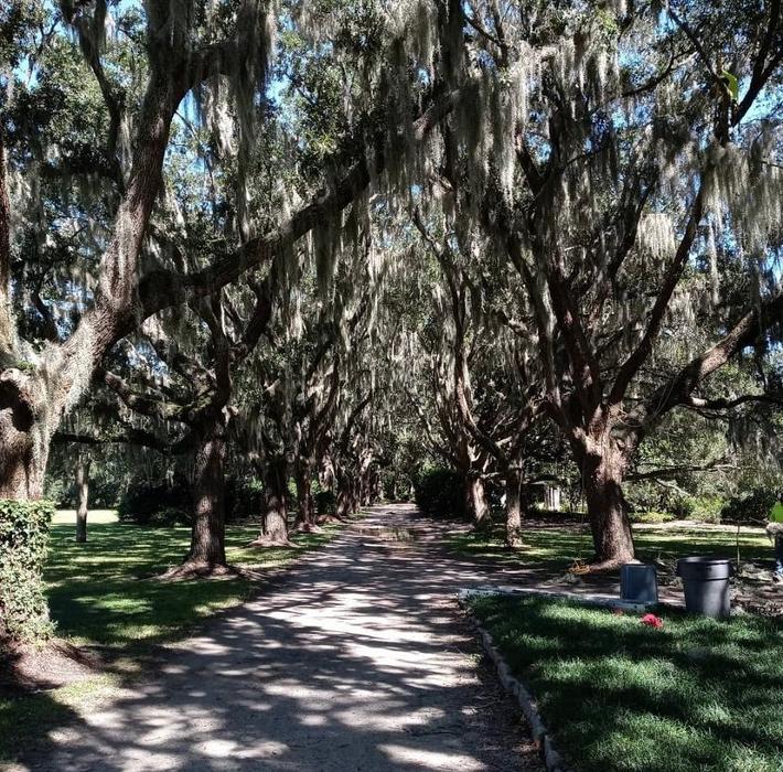 Mt Pleasant Tree Service - Huger, SC