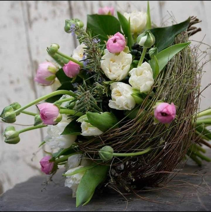 Centaurea Artisan Fleuriste