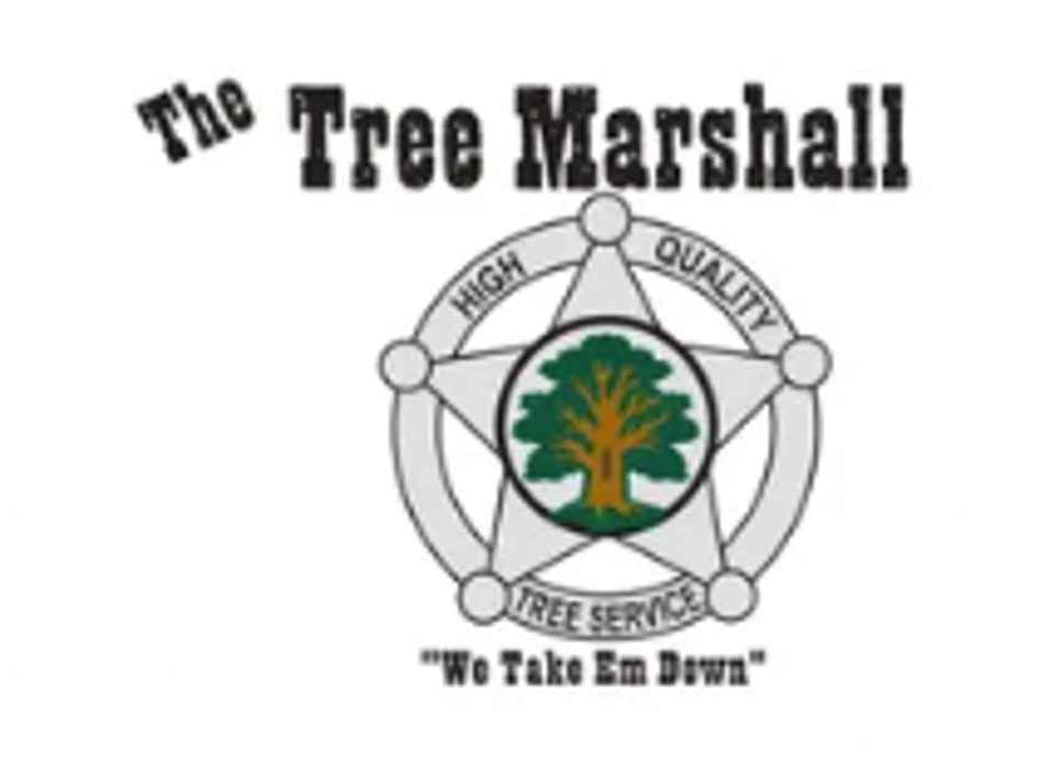 The Tree Marshall Logo