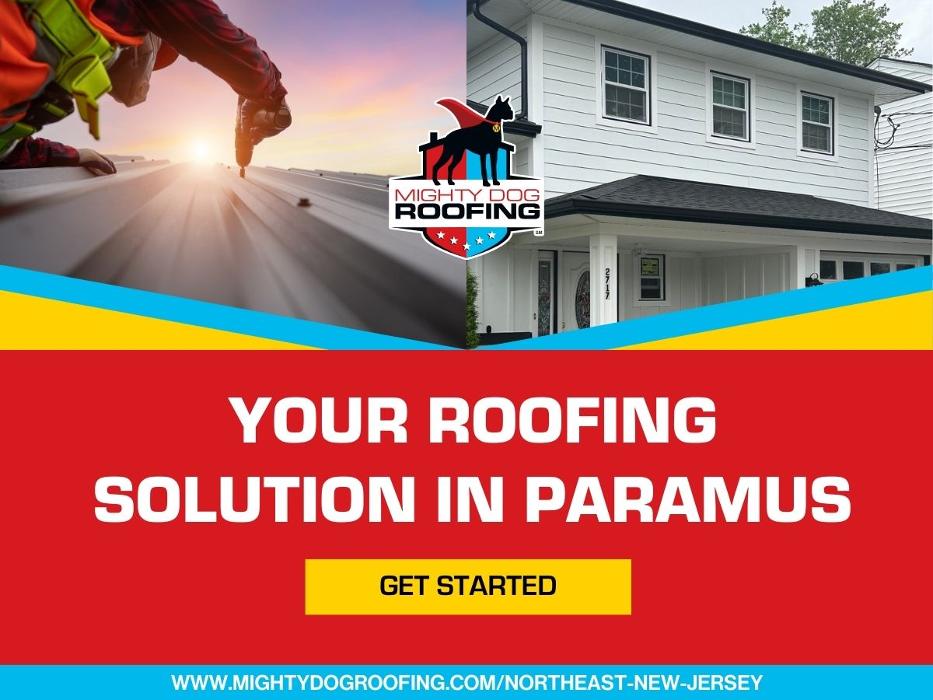 Mighty Dog Roofing - Paramus, NJ