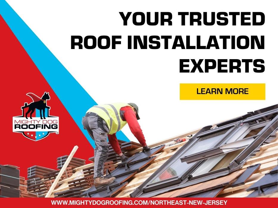 Mighty Dog Roofing - Paramus, NJ