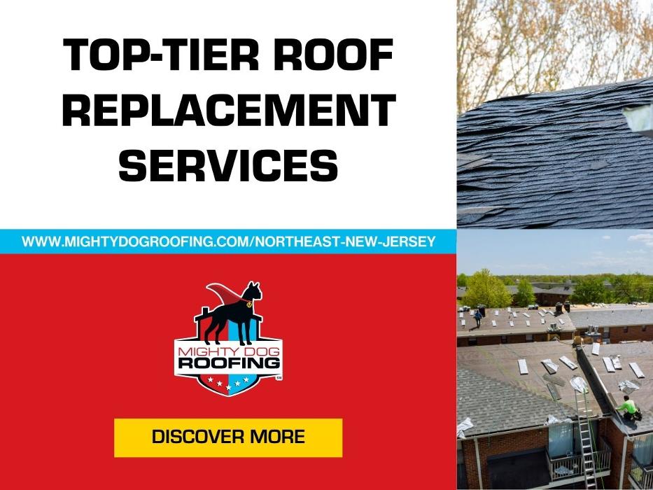 Mighty Dog Roofing - Paramus, NJ