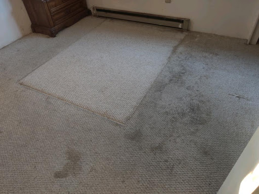 Image 4 | Windjammer Carpet Cleaning