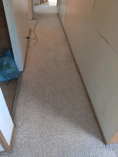 Image 6 | Windjammer Carpet Cleaning