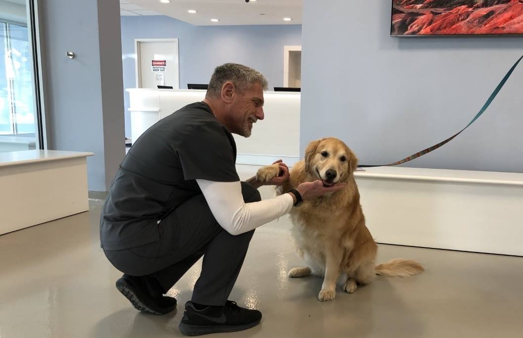 Image 8 | Westwood Regional Veterinary Hospital