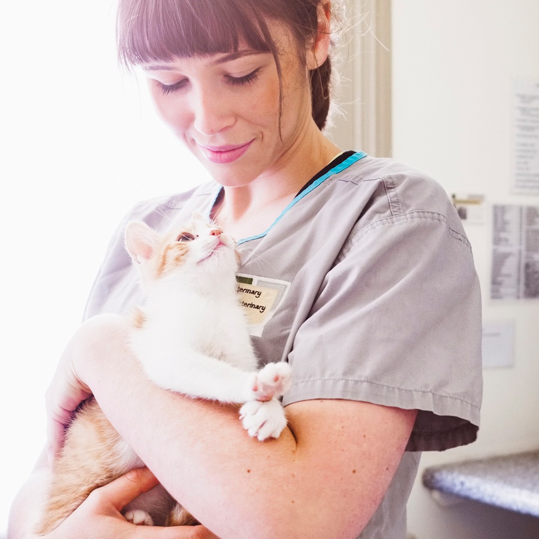 Image 10 | Westwood Regional Veterinary Hospital