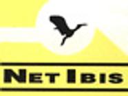 Netibis vidange et curage