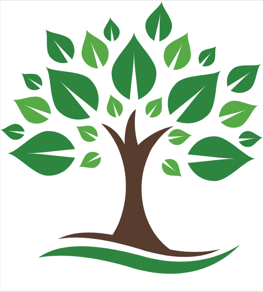 Sarl Bouteiller Espaces Verts Expert