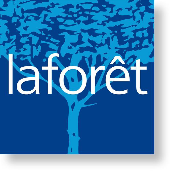 LA FORET IMMOBILIER GAP agence immobilière