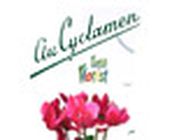 Au Cyclamen fleuriste