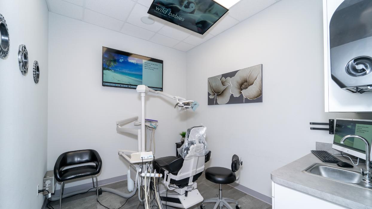 New Tampa Family & Emergency Dental Image
