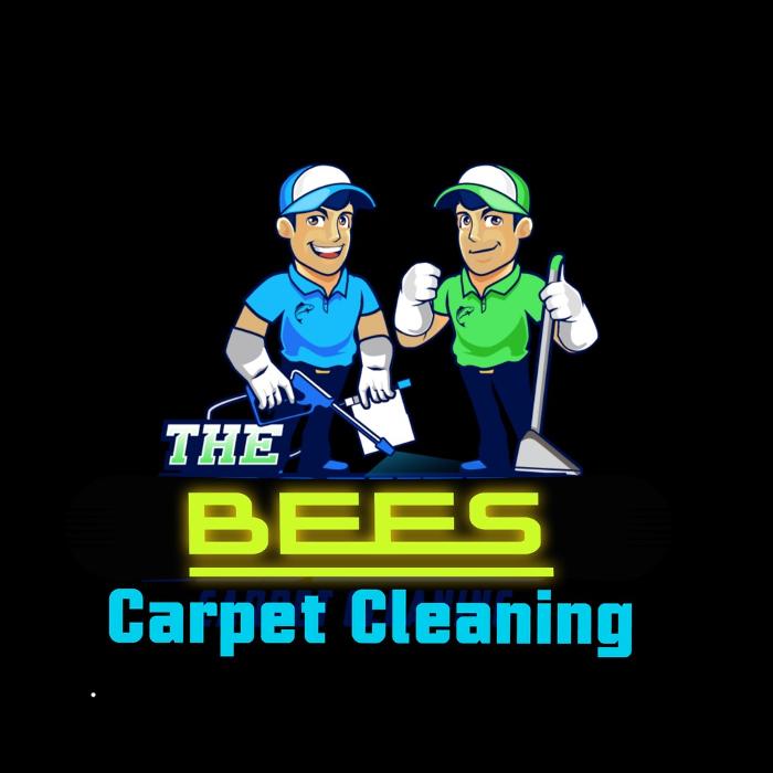 Driven Carpet Cleaning Image