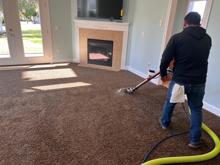 Driven Carpet Cleaning Image