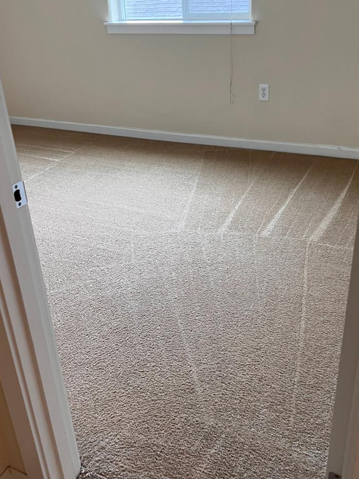 Driven Carpet Cleaning Image