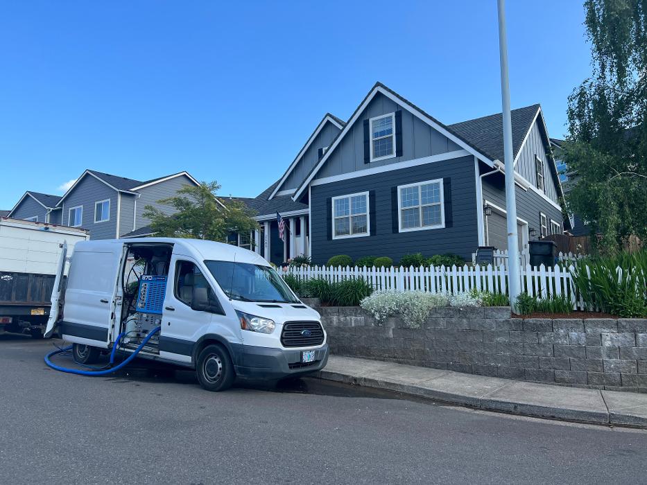 Driven Carpet Cleaning Image