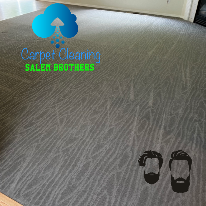 Driven Carpet Cleaning Image