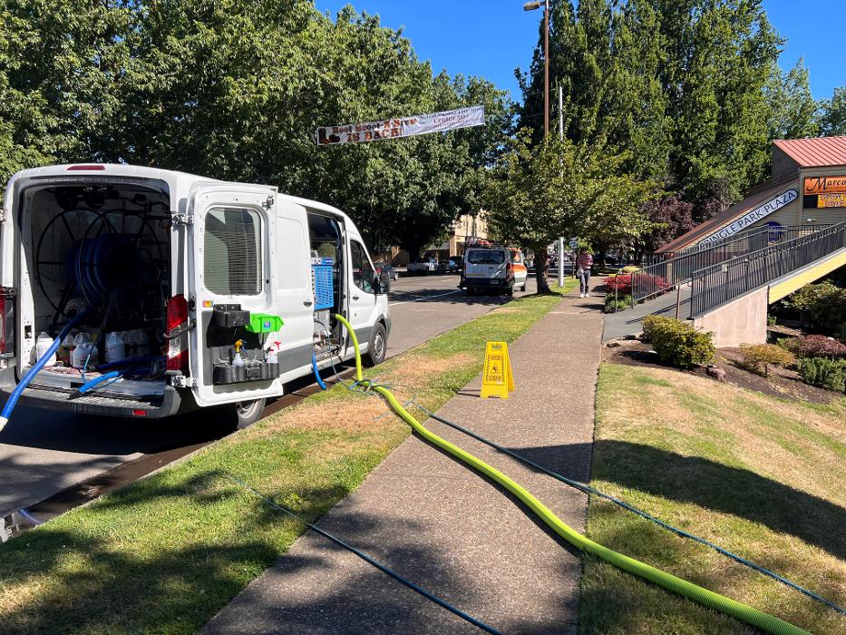 Driven Carpet Cleaning Image