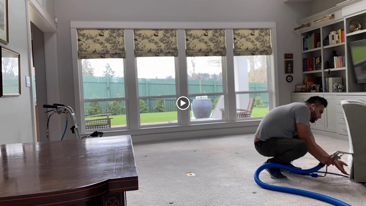 Driven Carpet Cleaning Image