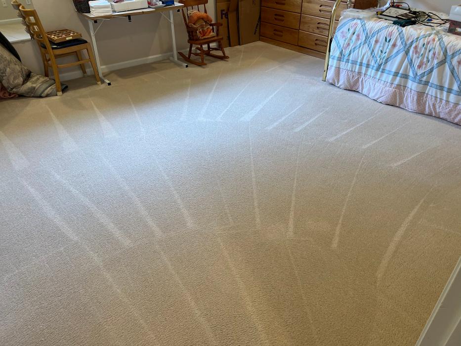 Driven Carpet Cleaning Image