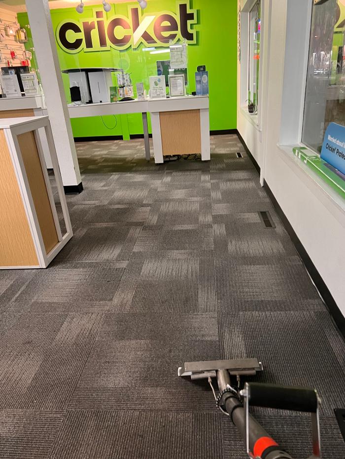 Driven Carpet Cleaning Image