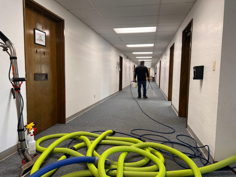 Driven Carpet Cleaning Image