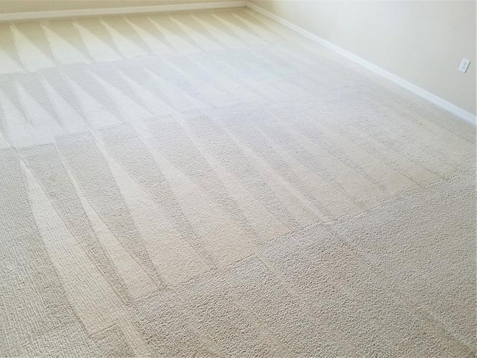 Driven Carpet Cleaning Image
