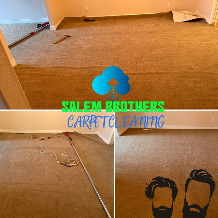 Driven Carpet Cleaning Image