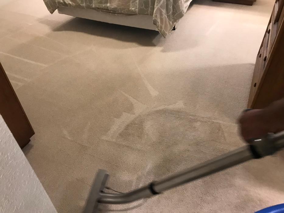 Driven Carpet Cleaning Image