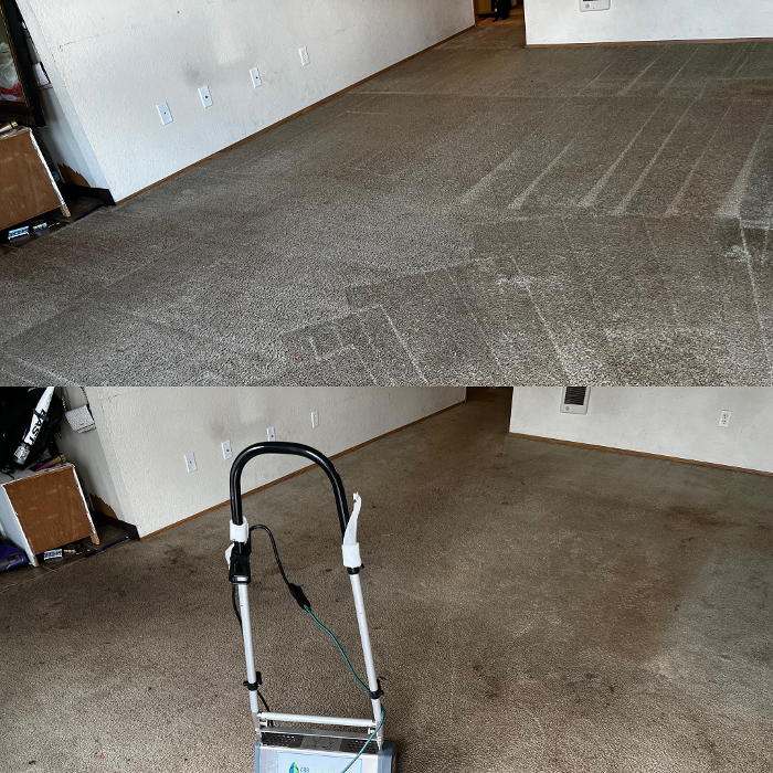 Driven Carpet Cleaning Image