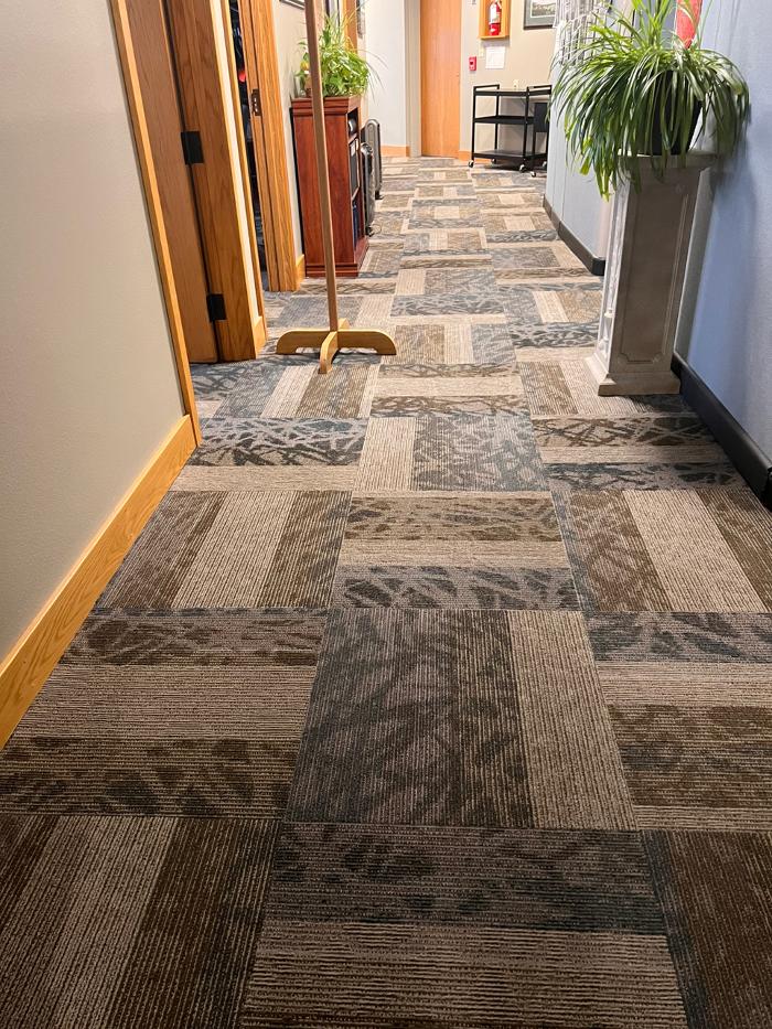 Driven Carpet Cleaning Image