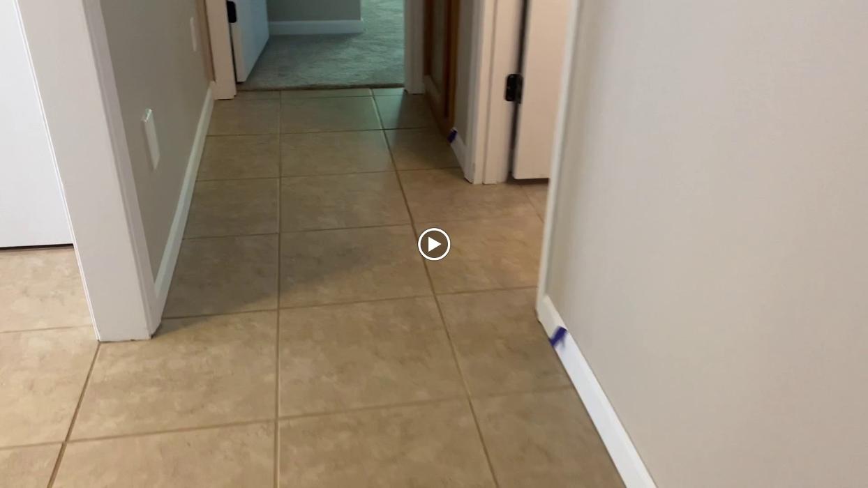 Driven Carpet Cleaning Image