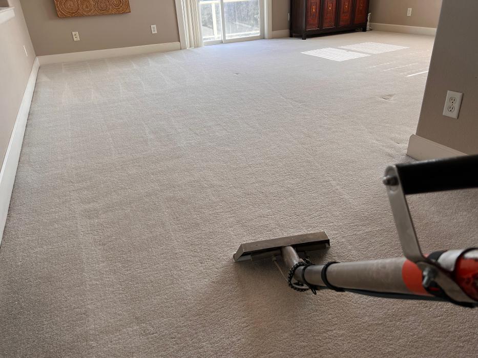 Driven Carpet Cleaning Image