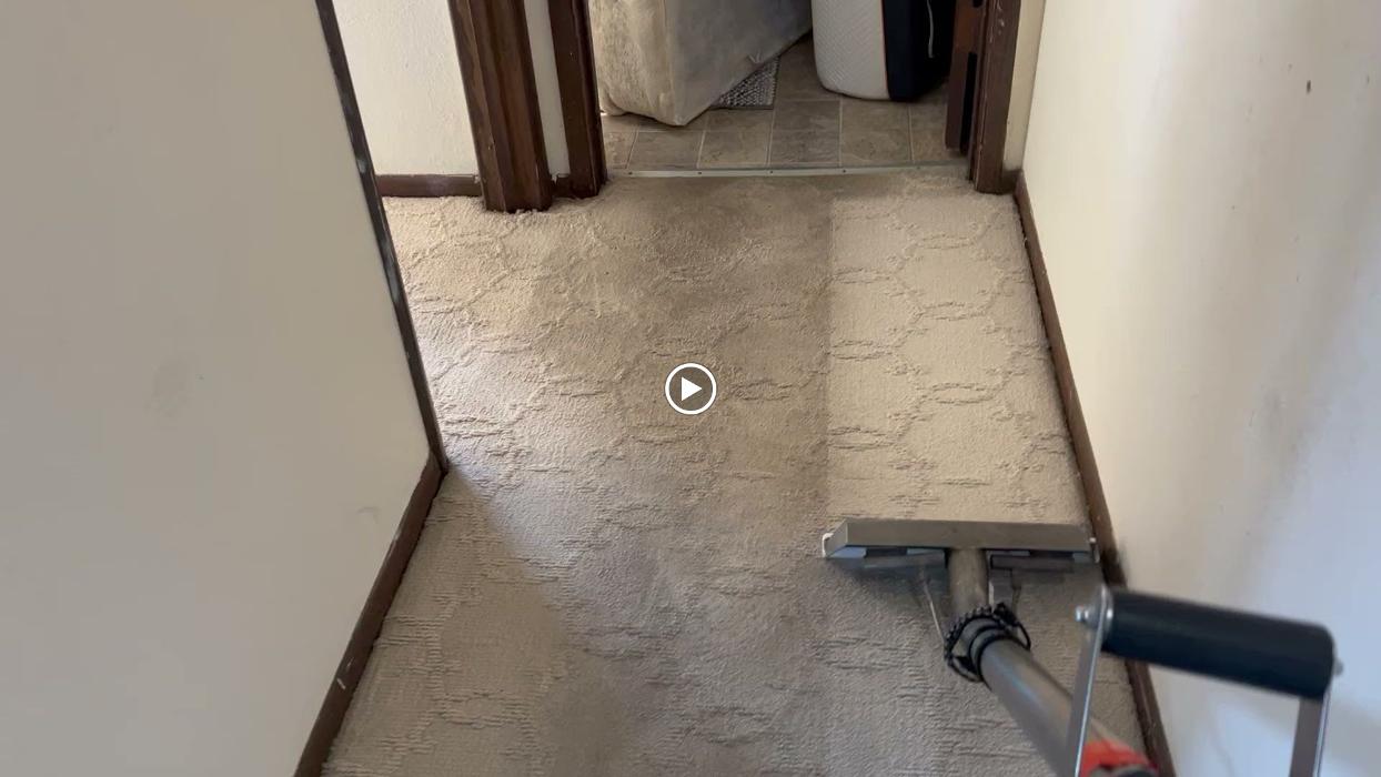 Driven Carpet Cleaning Image