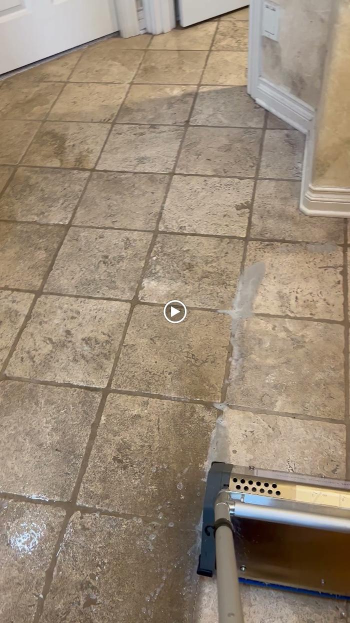 Driven Carpet Cleaning Image