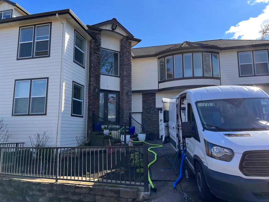 Driven Carpet Cleaning Image