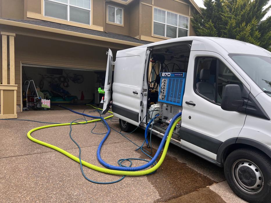 Driven Carpet Cleaning Image