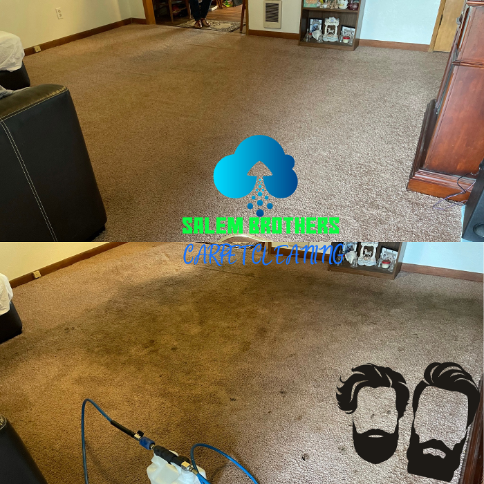 Driven Carpet Cleaning Image