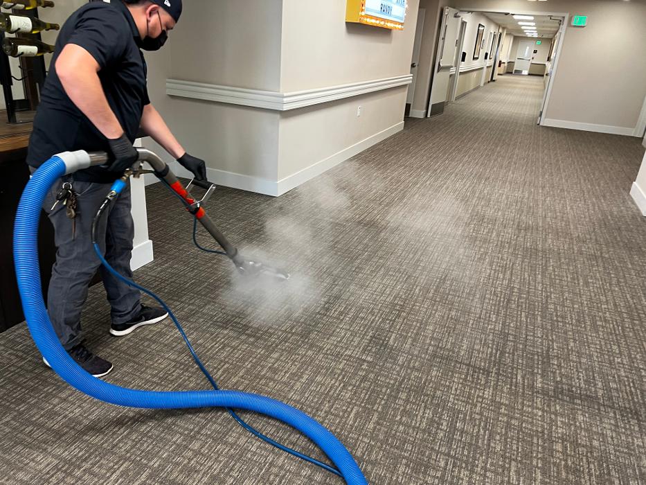 Driven Carpet Cleaning Image