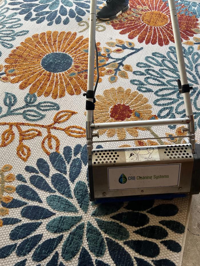 Driven Carpet Cleaning Image