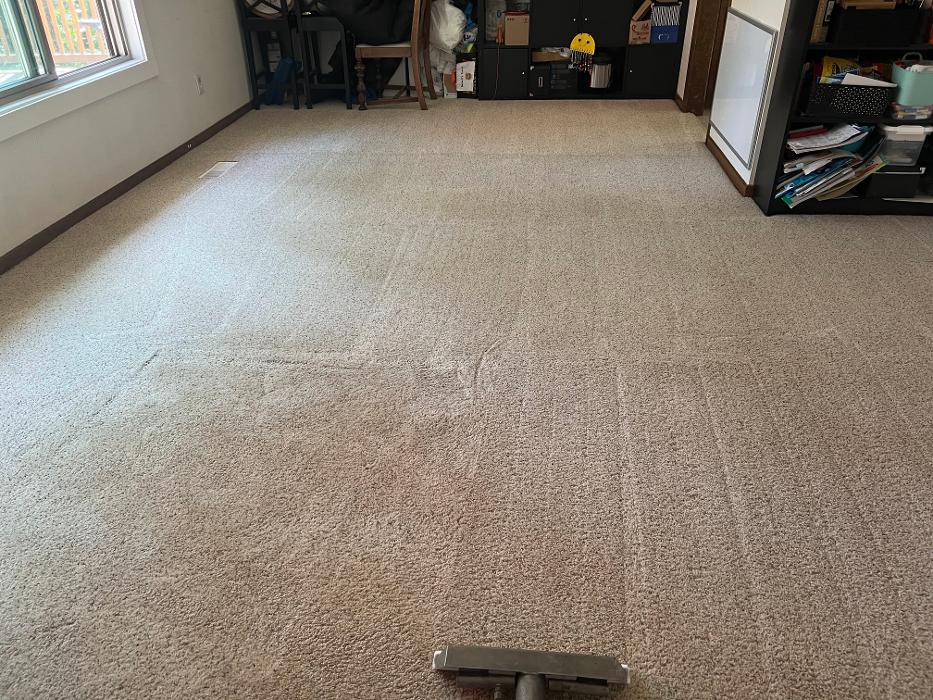 Driven Carpet Cleaning Image
