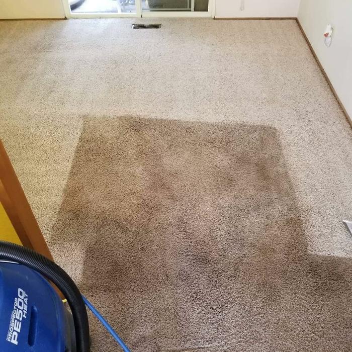 Driven Carpet Cleaning Image