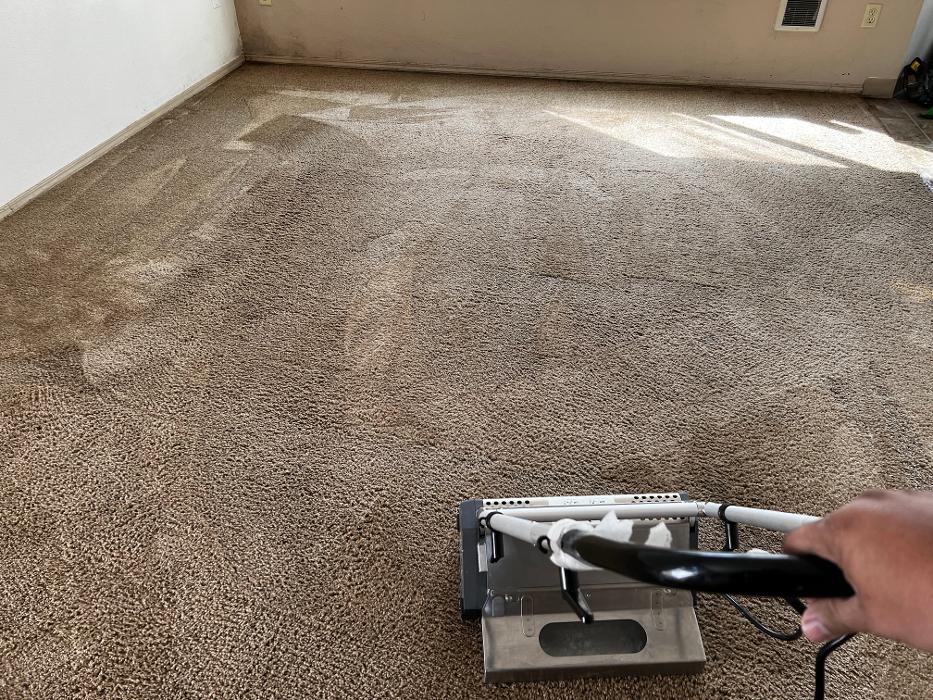 Driven Carpet Cleaning Image