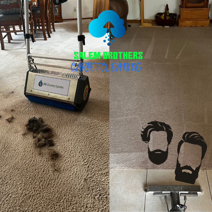 Driven Carpet Cleaning Image