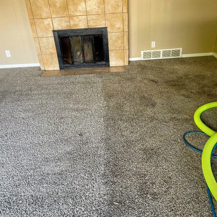 Driven Carpet Cleaning Image