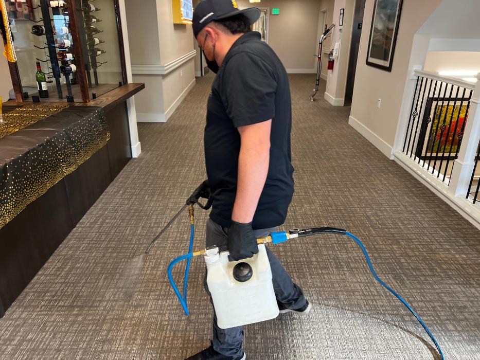 Driven Carpet Cleaning Image