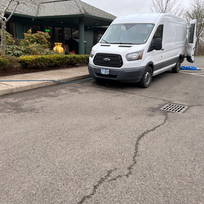 Driven Carpet Cleaning Image