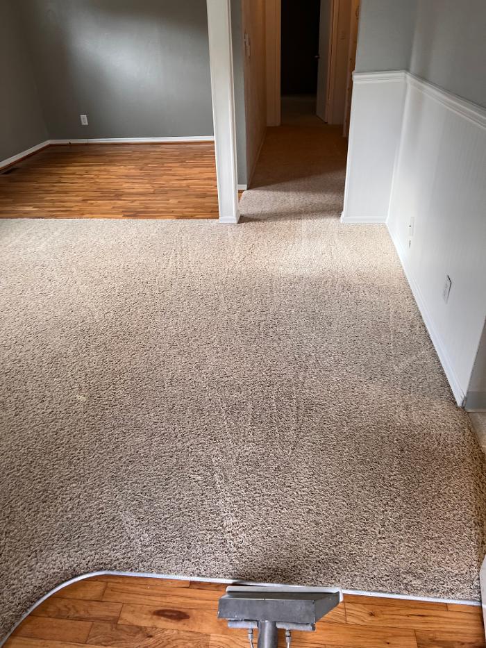 Driven Carpet Cleaning Image
