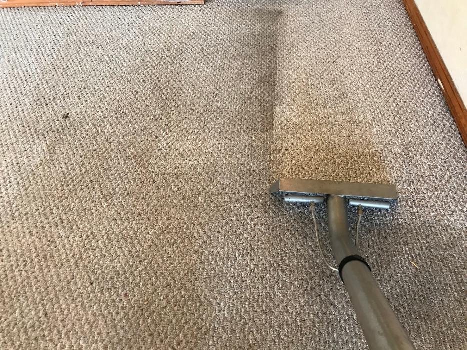Driven Carpet Cleaning Image