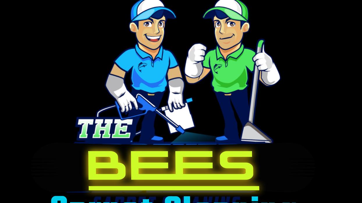 Driven Carpet Cleaning Image