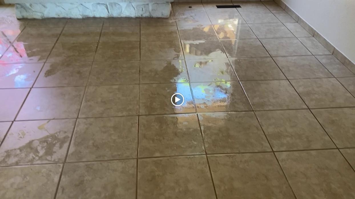 Driven Carpet Cleaning Image